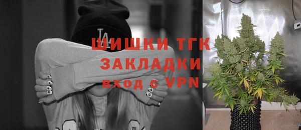 spice Бородино