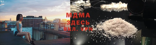 spice Бородино