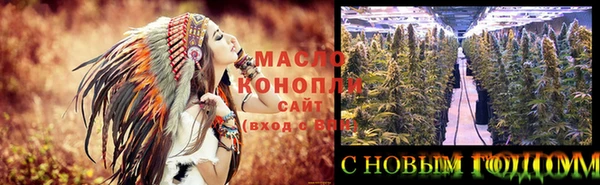spice Бородино