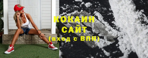шишки Семикаракорск