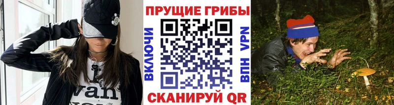 МЕГА маркетплейс  Шебекино  Псилоцибиновые грибы мицелий 